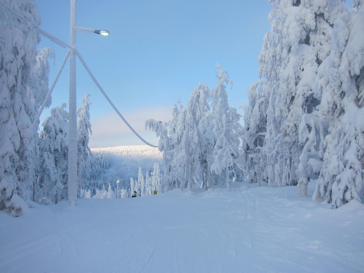 Tiiringolf Cottages Nilsiä Екстериор снимка